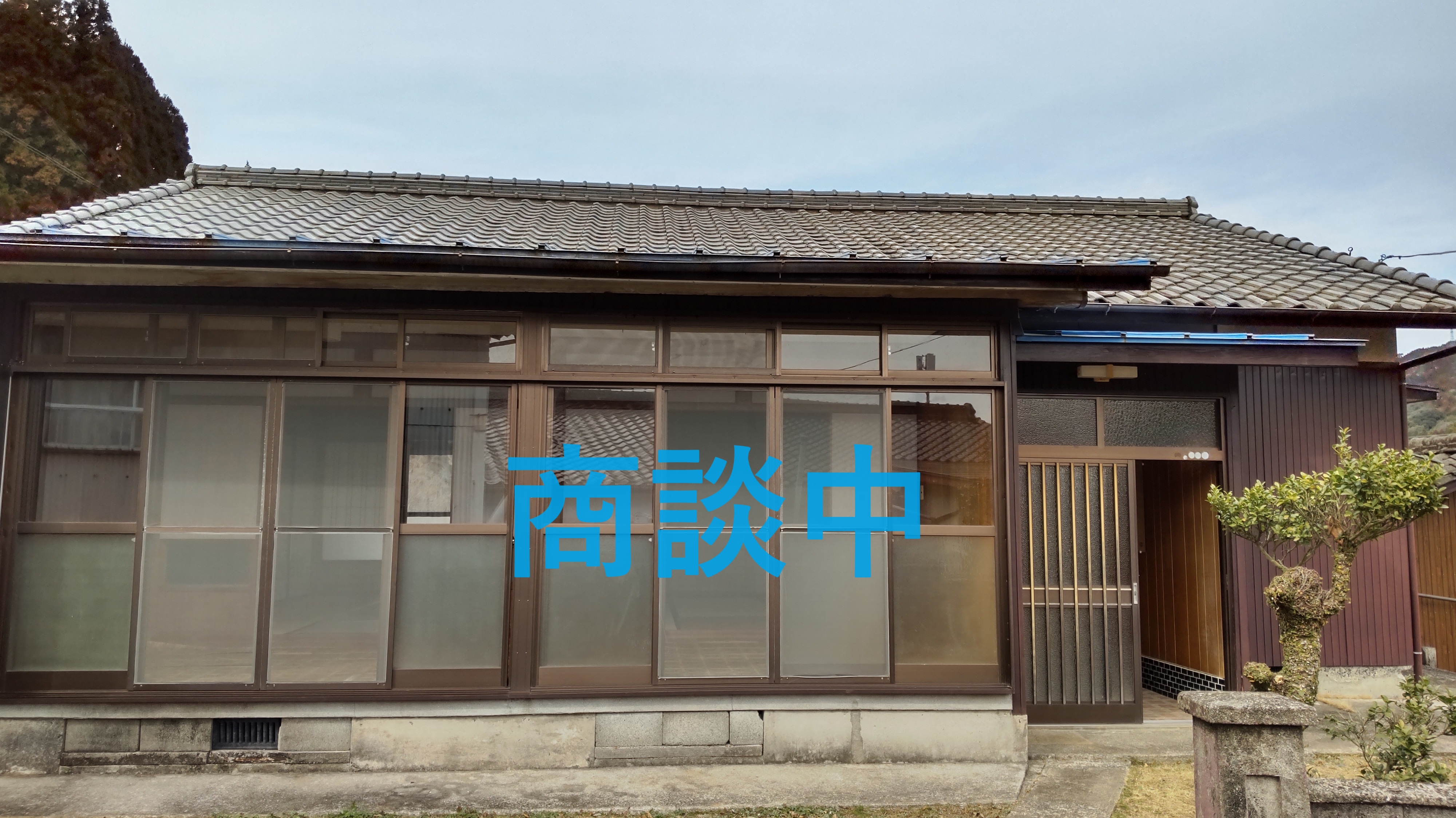 TvTCg